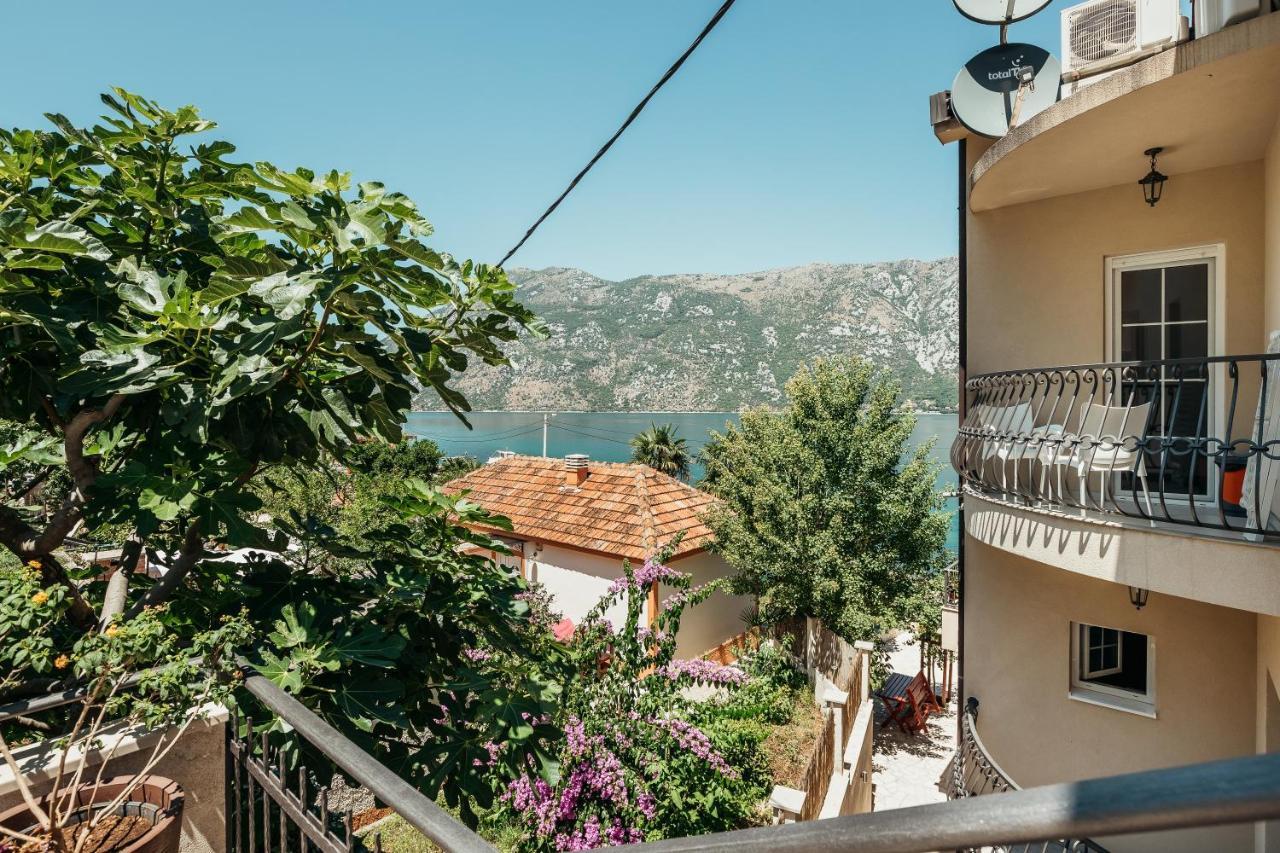 Apartments Cosovic コトル エクステリア 写真